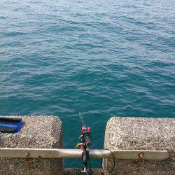 停泊船ゲ―ム開幕