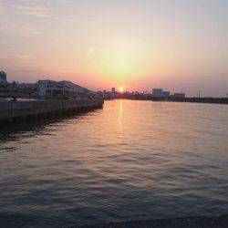 早朝メバリング