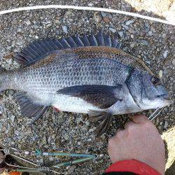 今年初の二桁！！