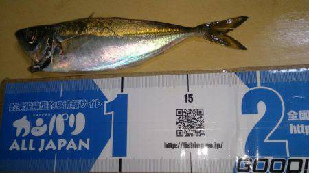 爆風で釣りにくい