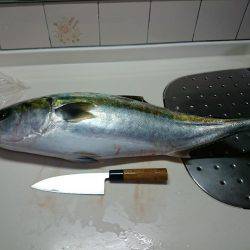 2回目のジギング船チャーター