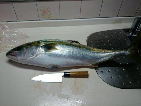 2回目のジギング船チャーター