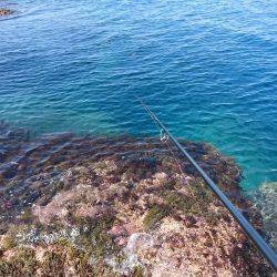 越前ショアジギングで根魚