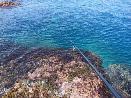 越前ショアジギングで根魚