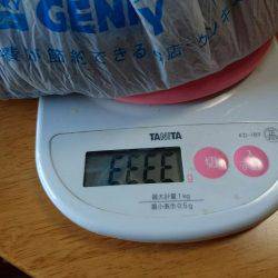 モンスター出現