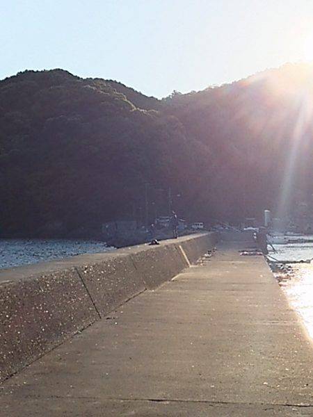 付き合いの良い奴