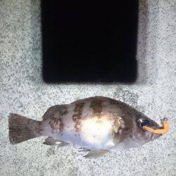 サーフオモロイ。