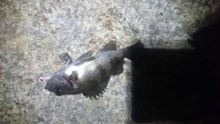 トラブルシューティング