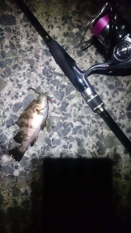 ヤッパ潮かな。