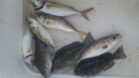 ファミリーフィッシング