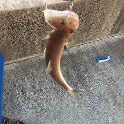 エソゲーム炸裂‼︎