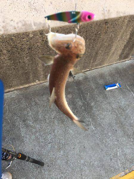 エソゲーム炸裂‼︎