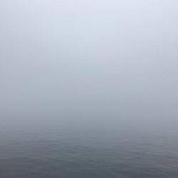 エソ神降臨( ´∀｀)