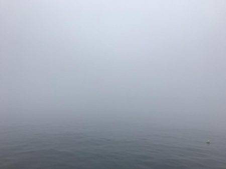 エソ神降臨( ´∀｀)