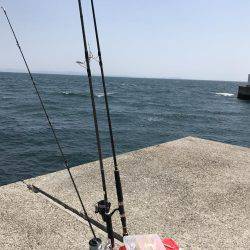 今日もやっぱりエソ祭り！わっしょい♪