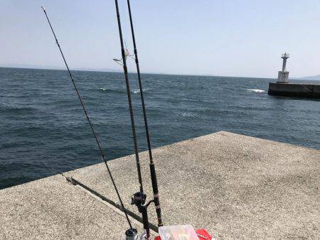 今日もやっぱりエソ祭り！わっしょい♪