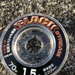 フカセチヌでボラのみ。。。