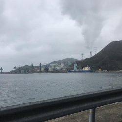 マイクロショアジギング