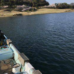 筏のかかり釣りでチヌ狙いダンゴ釣り