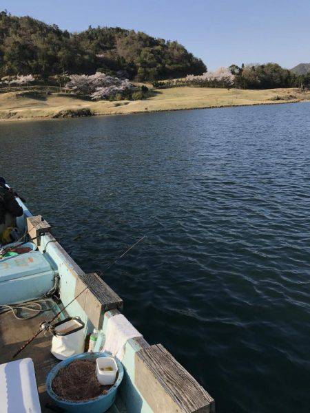 筏のかかり釣りでチヌ狙いダンゴ釣り