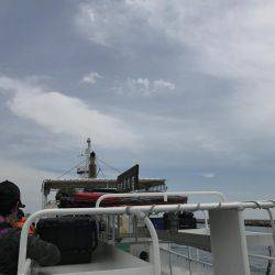 和田防波堤 チヌ！