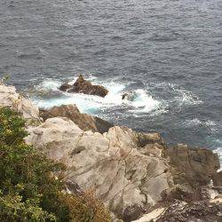 思ったよりうねりが・・・