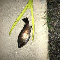 暖かくなりました