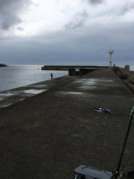 早朝ガシラ釣り