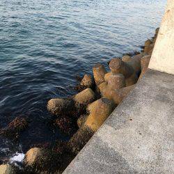 ノッコミ開始！