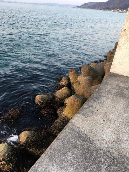 ノッコミ開始！