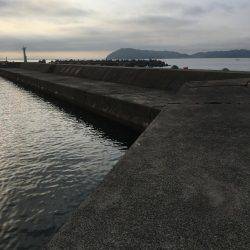 淡路島2日目穴釣り