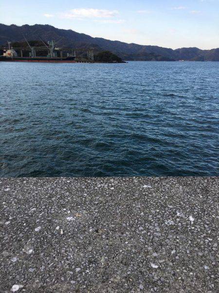 津久見港でデイメバ