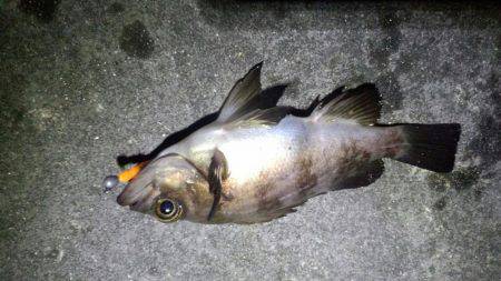 ﾒﾊﾞﾘﾝｸﾞ苦戦