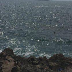 1ヶ月ぶりの磯釣り