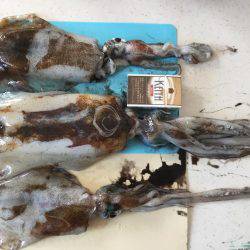 初めての場所で