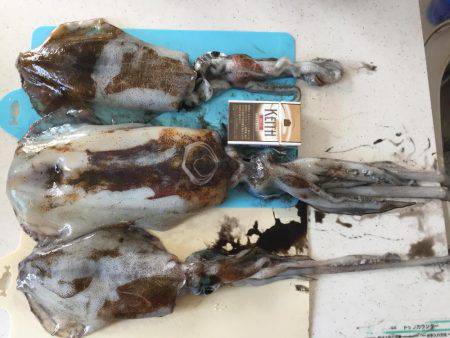 初めての場所で