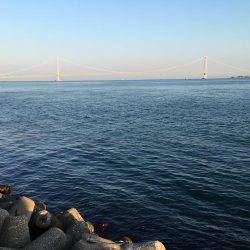 久しぶりの20㎝越えのメバル