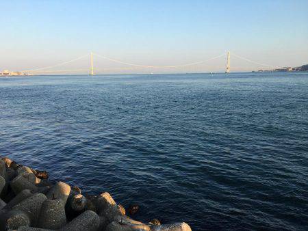 久しぶりの20㎝越えのメバル