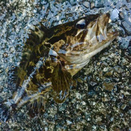 グランドスラム