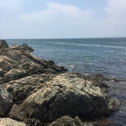 初 沖磯・チヌ釣り