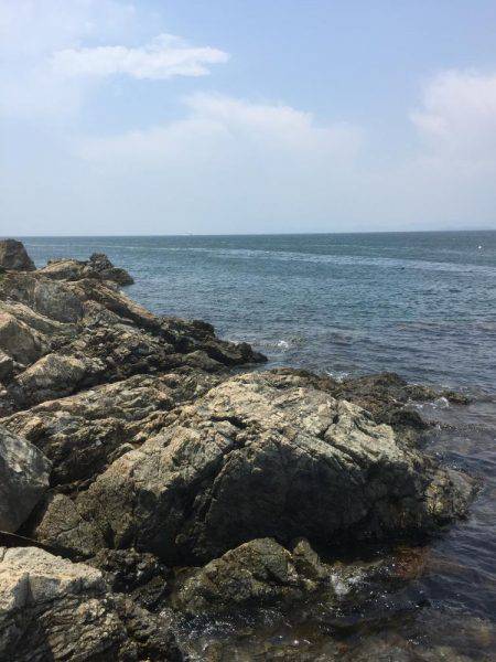 初 沖磯・チヌ釣り