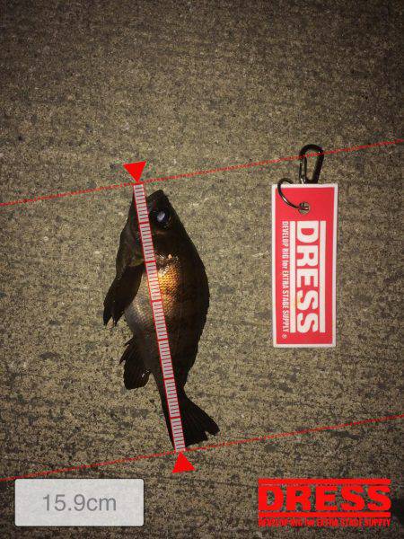 メ…メバリング！！