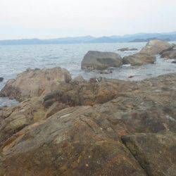 今回もグレ厳しかった・・