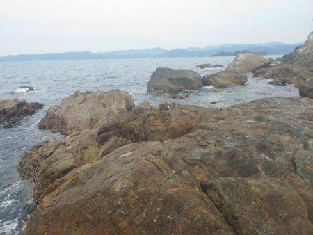 今回もグレ厳しかった・・