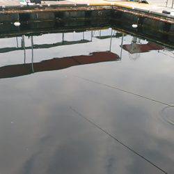 海上釣り堀岬でカンパチ、ヒラマサ狙い