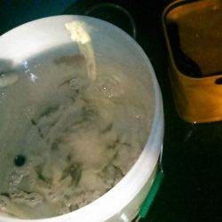 サビキ釣り～夜釣りに挑戦