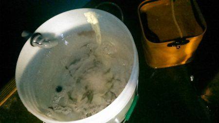 サビキ釣り～夜釣りに挑戦