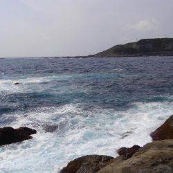 ショアジギボウズではない