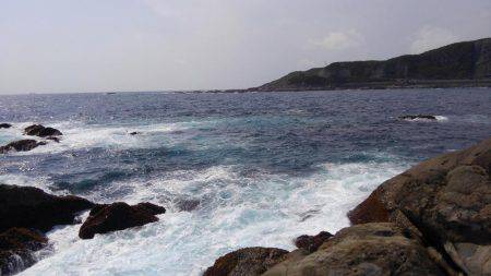 ショアジギボウズではない