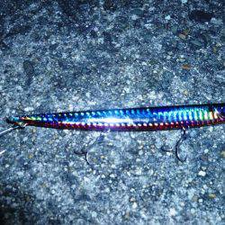 バチは無くとも